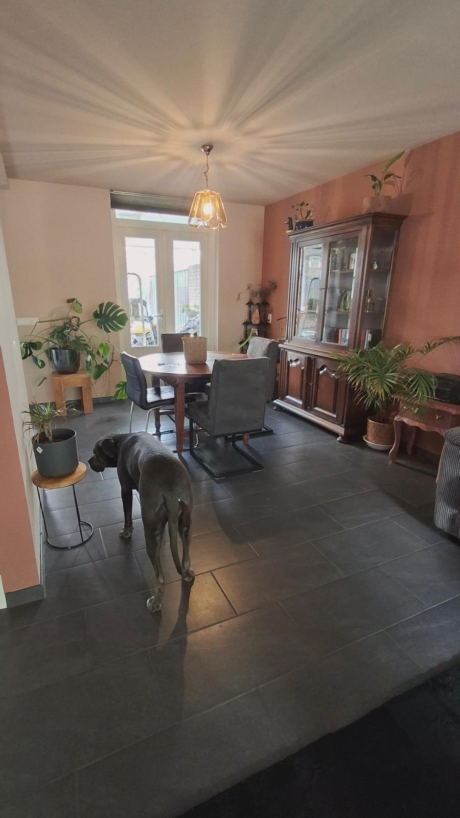 Jolein, pet sitter in Heerlen, photo 2