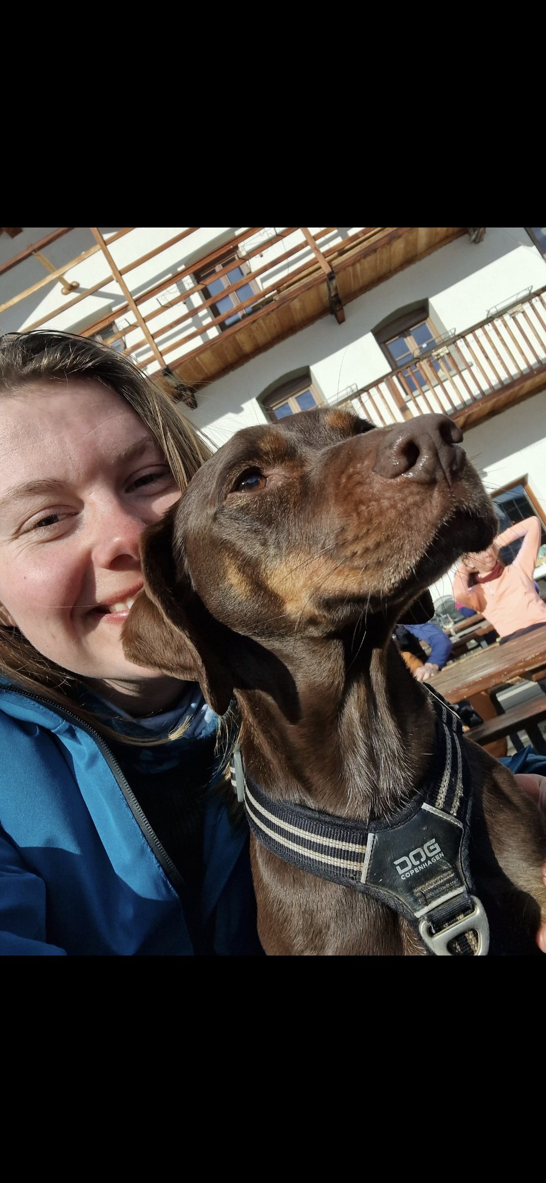 Hasse, pet sitter in Enschede, photo 3