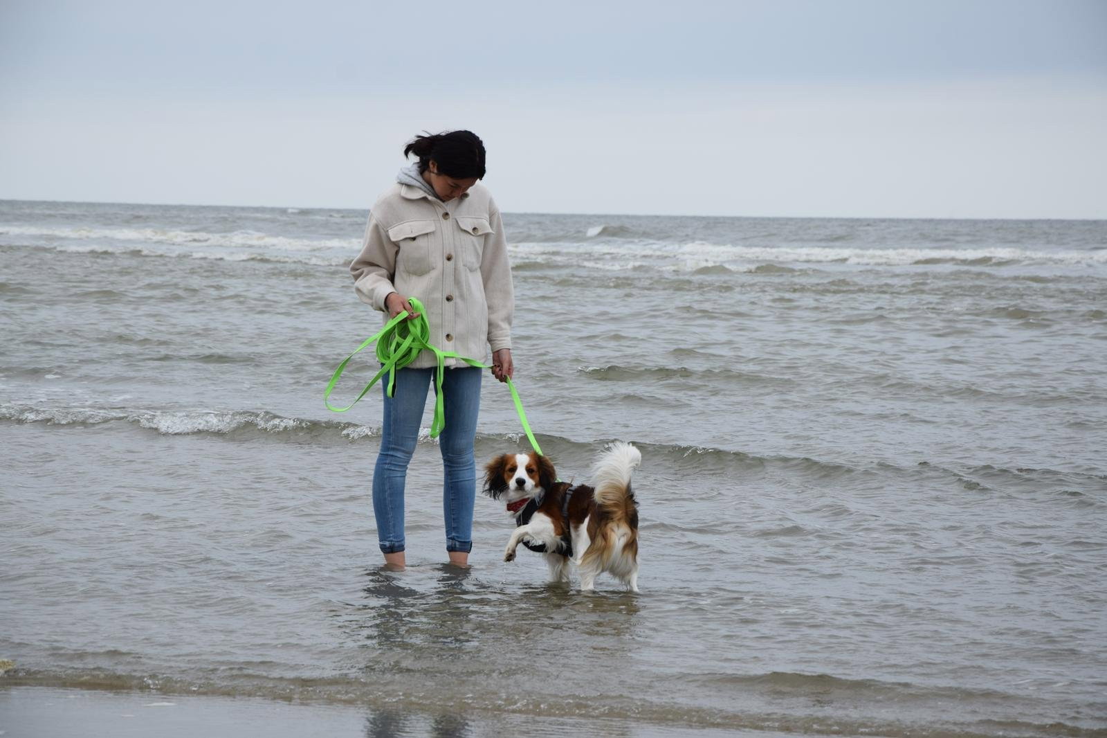 Zoe, pet sitter in Eindhoven, photo 2