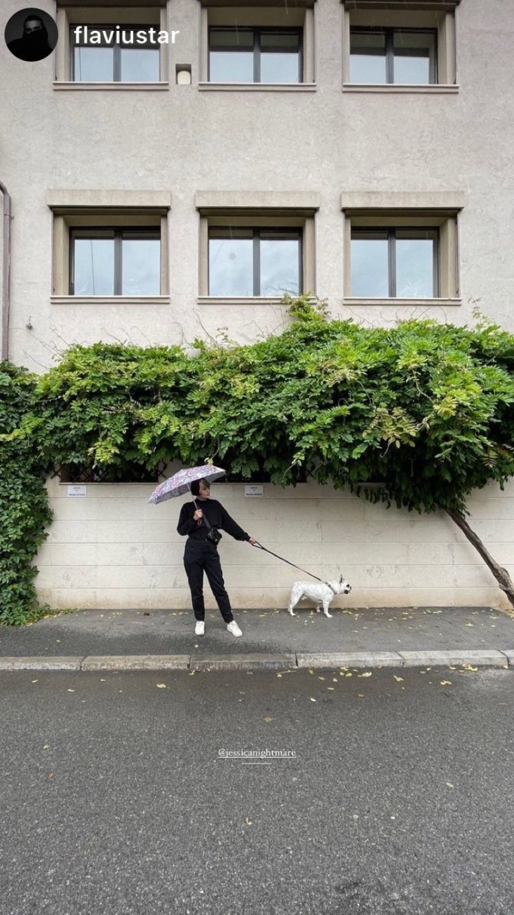 Dana, pet sitter in Rotterdam, photo 4