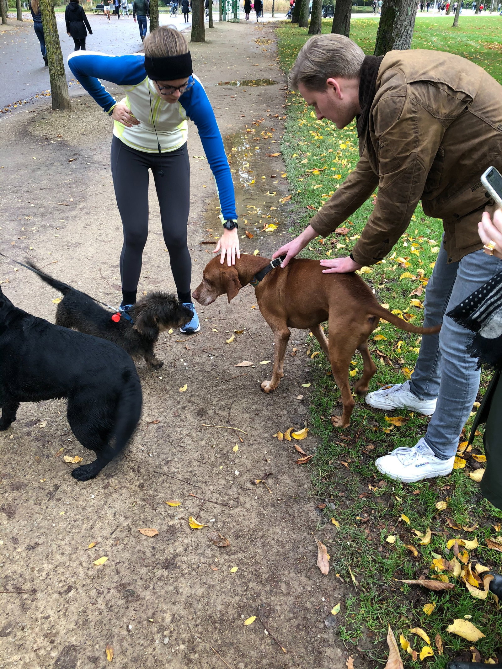 Domenica, pet sitter in Voorburg, photo 3