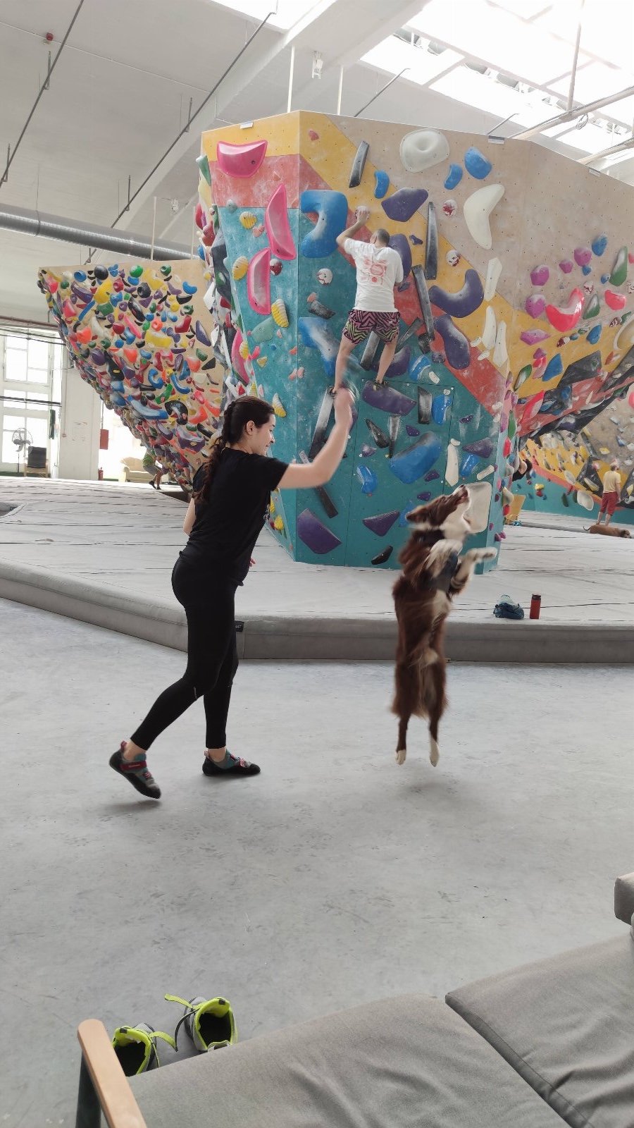 Enikő, pet sitter in Eindhoven, photo 4