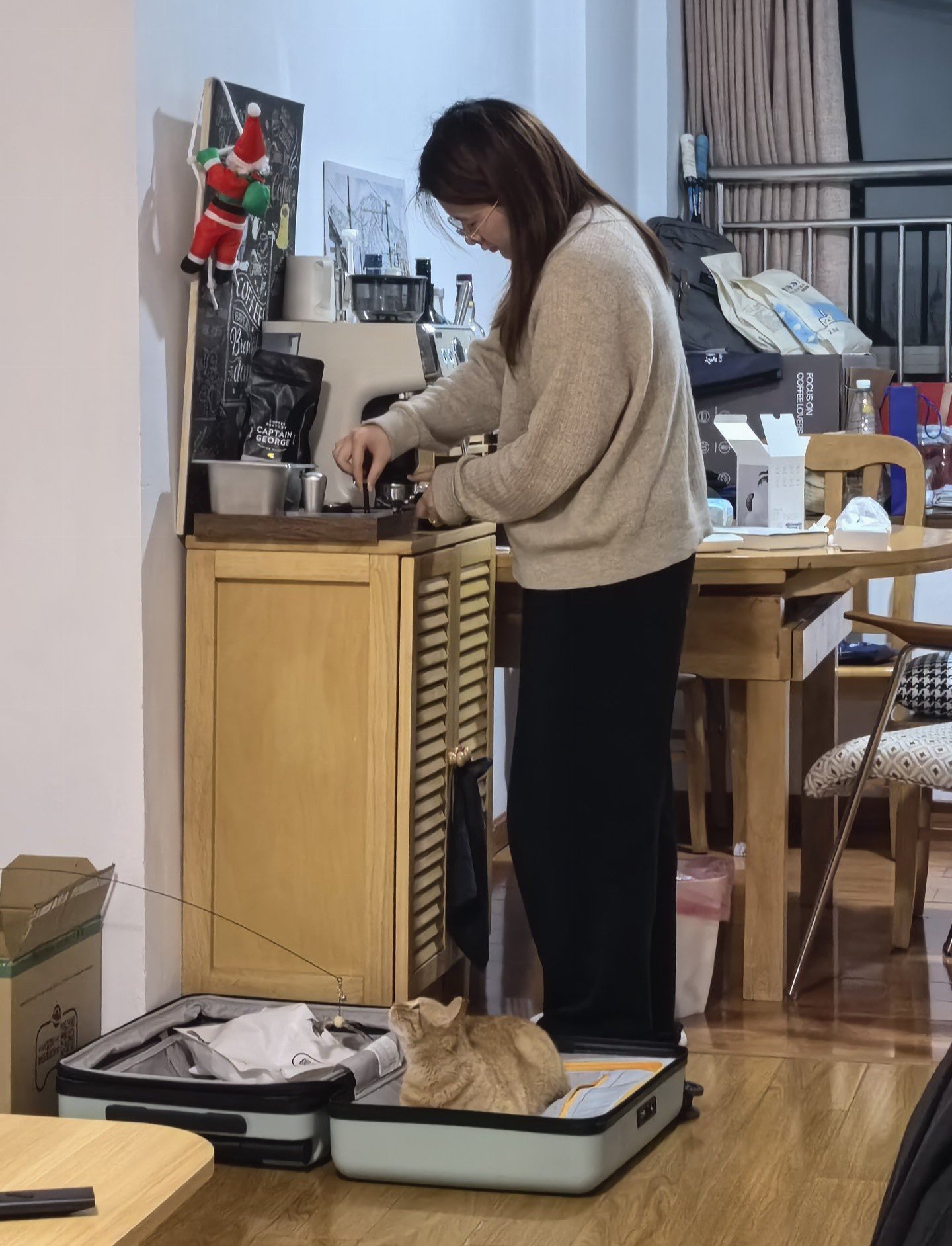 Bingjie, pet sitter in Rijswijk, photo 3