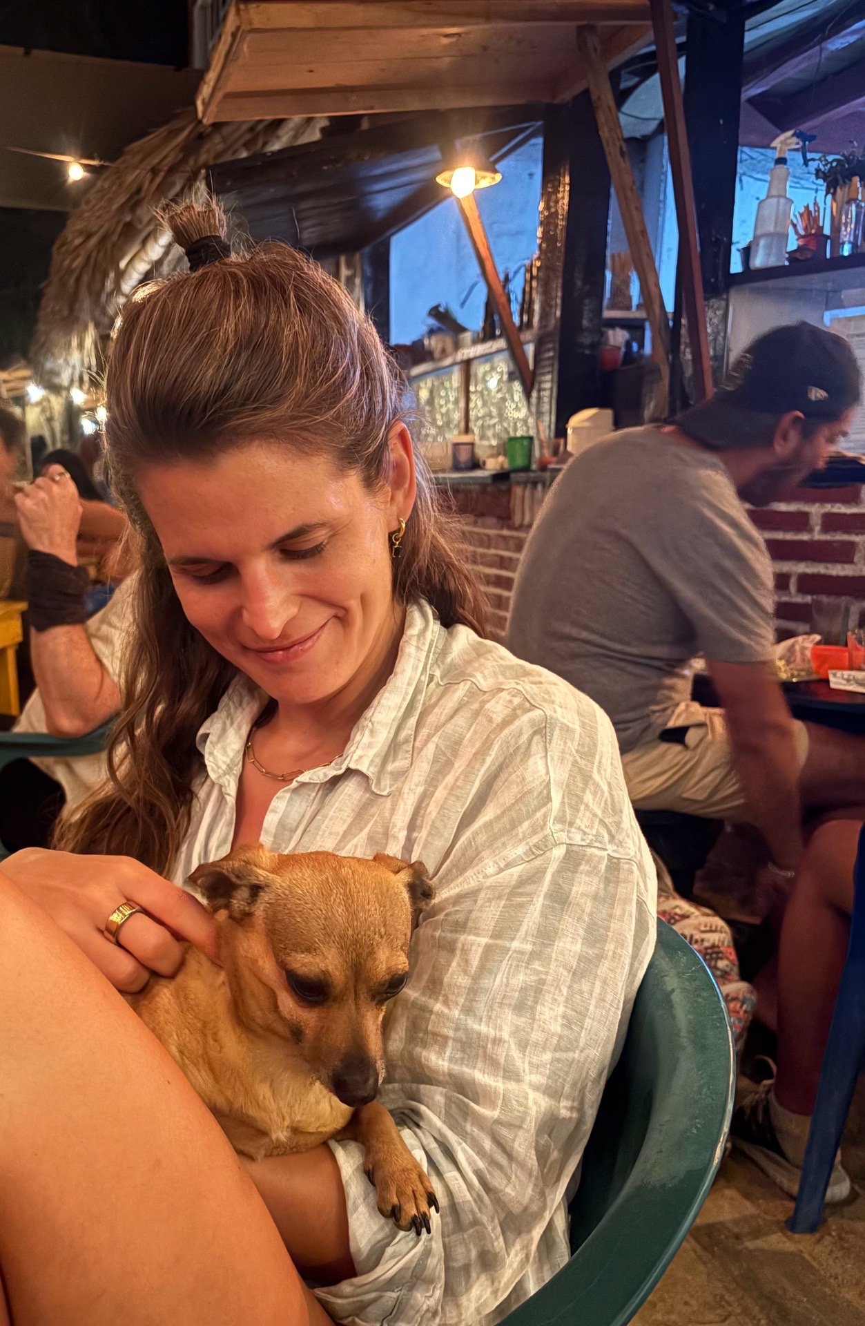 Julia, pet sitter in Amsterdam, photo 3