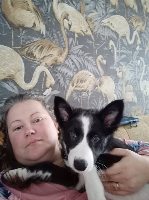 michelle, pet sitter in Capelle aan den IJssel, photo 5