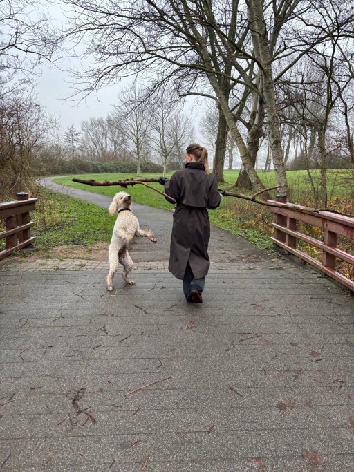 Jackie, pet sitter in Amsterdam, photo 5