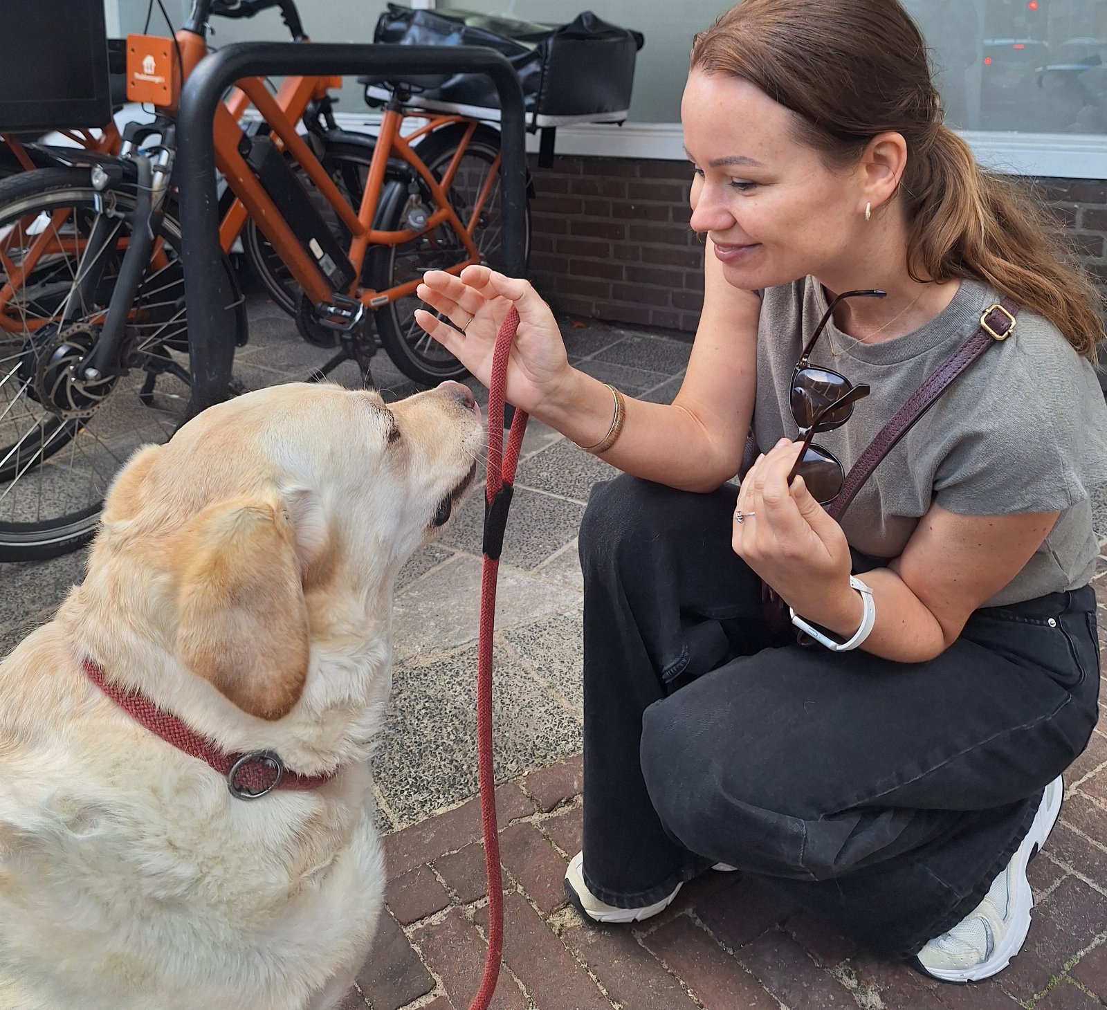 Michelle, pet sitter in Leidschendam, photo 4