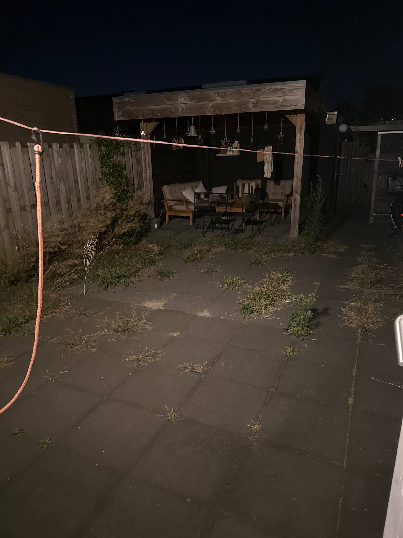 Harsh, pet sitter in 's-Hertogenbosch, photo 2