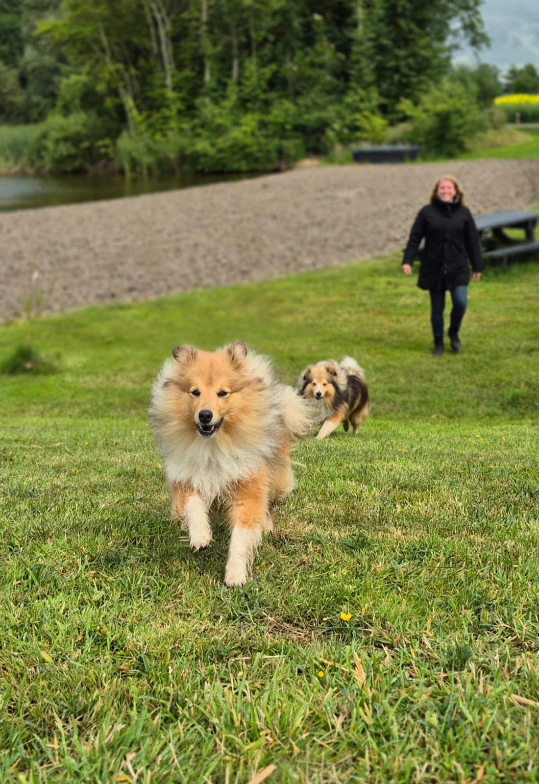 Lotte, pet sitter in Ede, photo 2