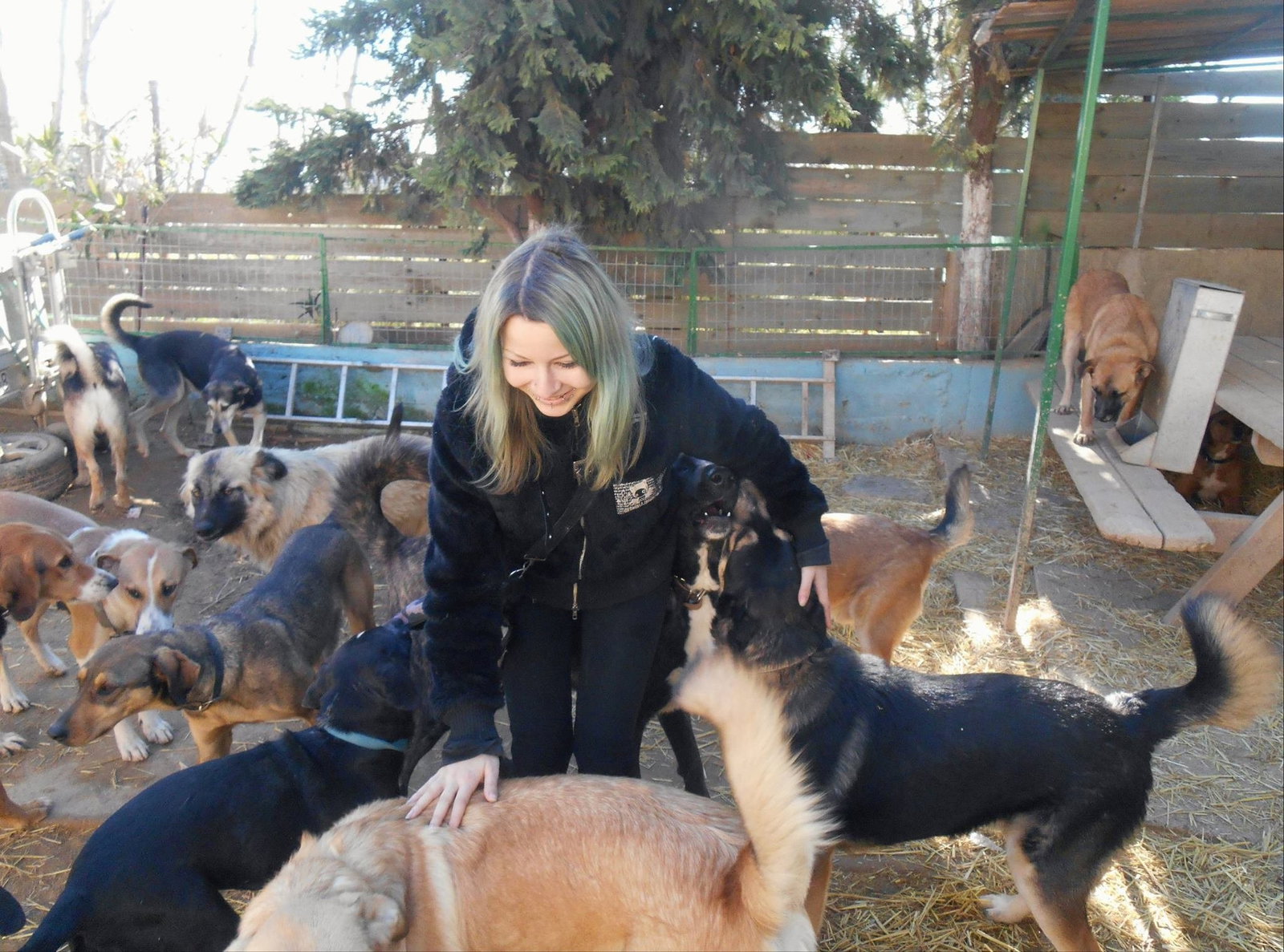 Dimitria Dima, pet sitter in Hannover, photo 5