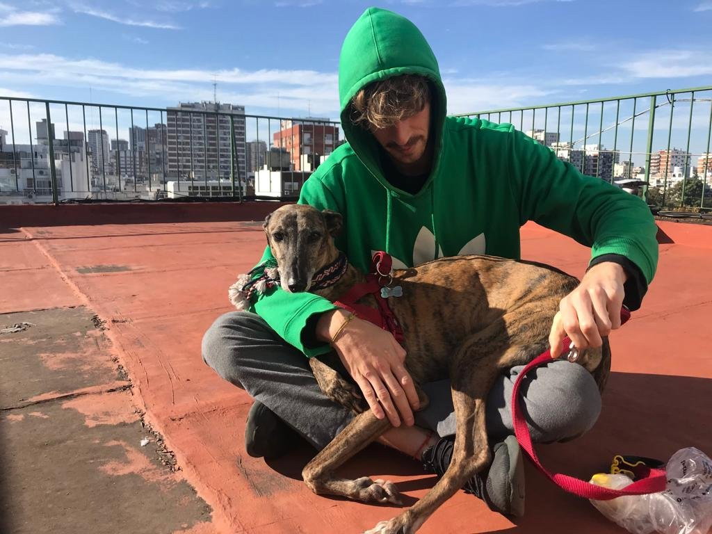 Jerónimo, pet sitter in Rotterdam, photo 5