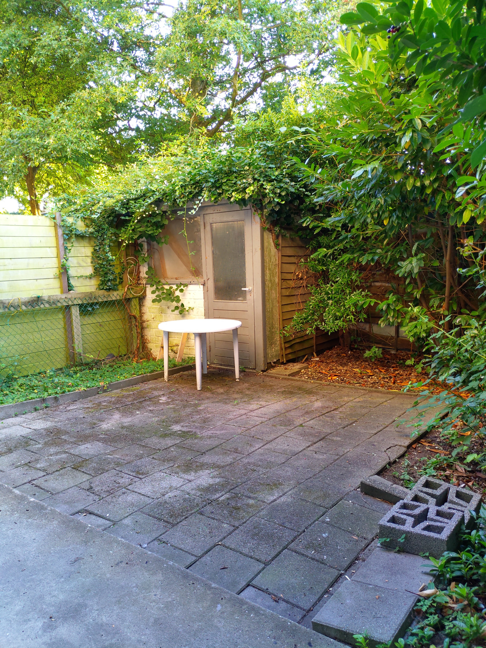 Chanel, pet sitter in Amsterdam, photo 3