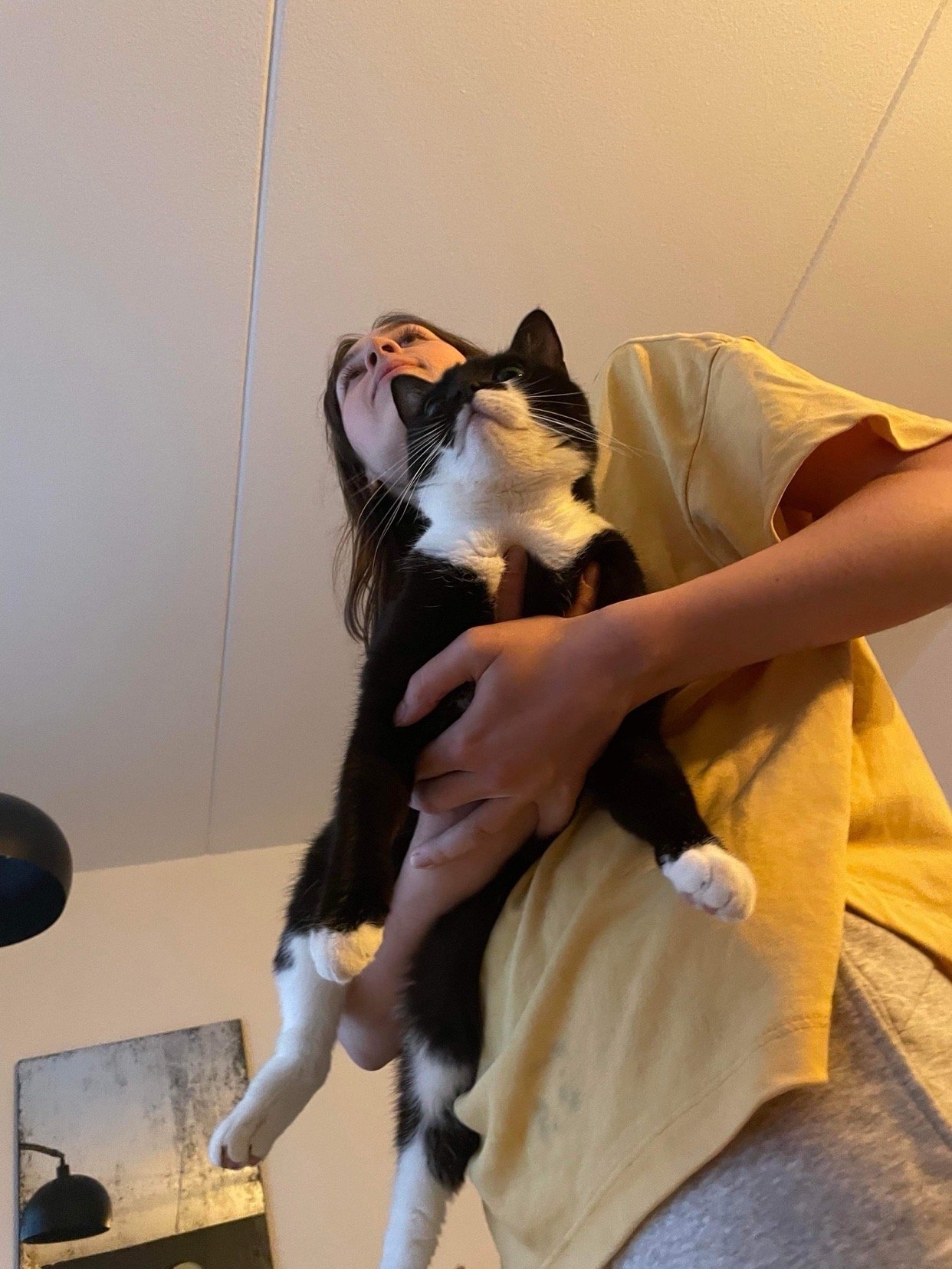 Nastya, pet sitter in Amsterdam, photo 1