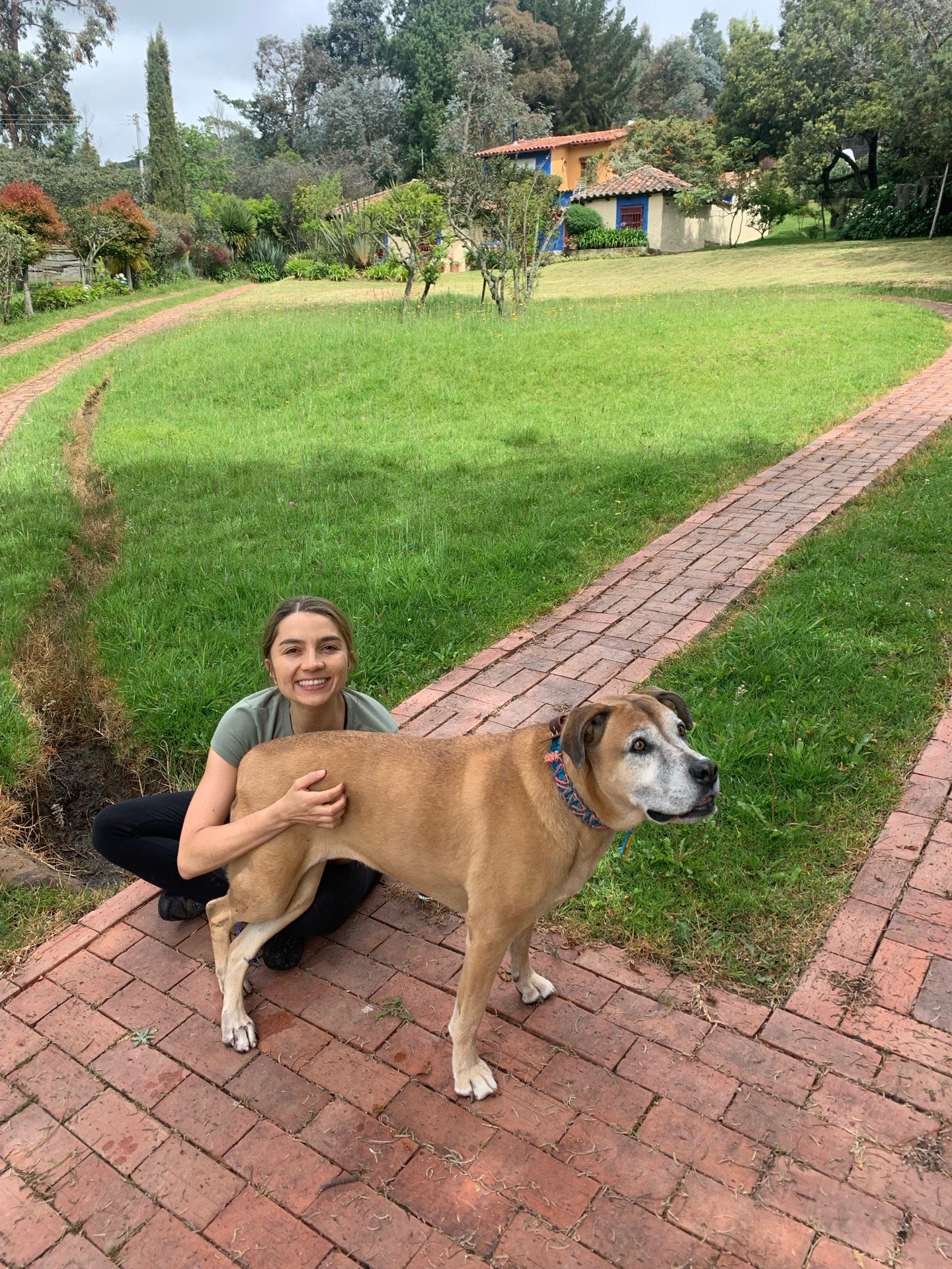 Ana, pet sitter in Wageningen, photo 1
