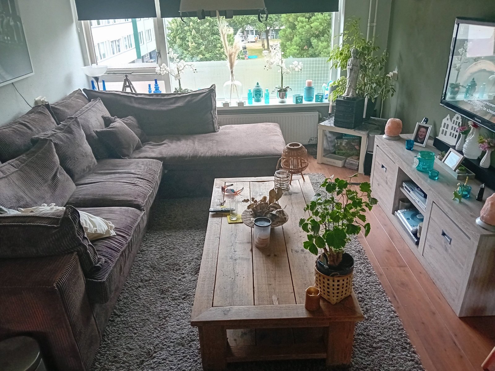 Ziggy, dierenoppas in Enschede, foto 1