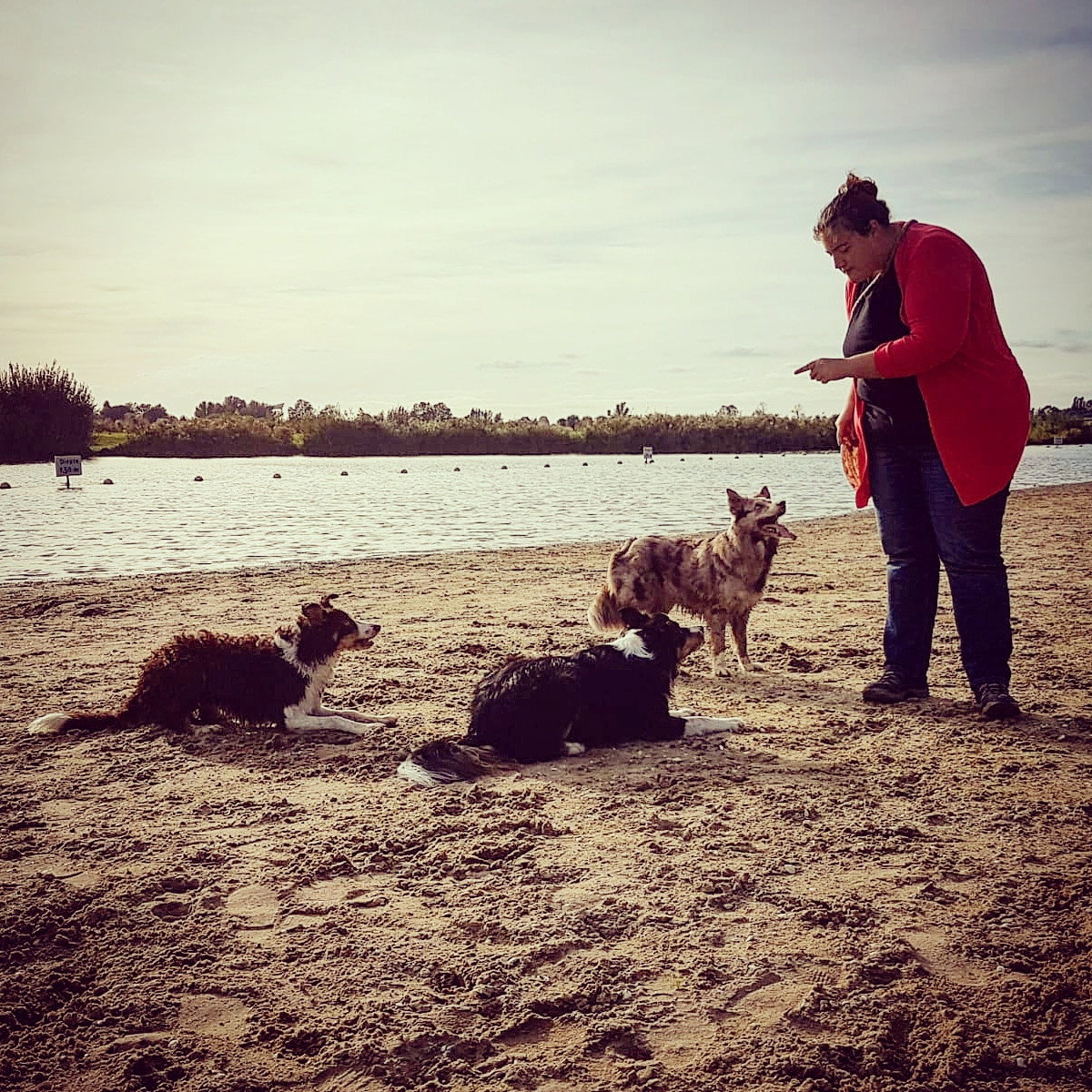 Carol, pet sitter in Delft, photo 2