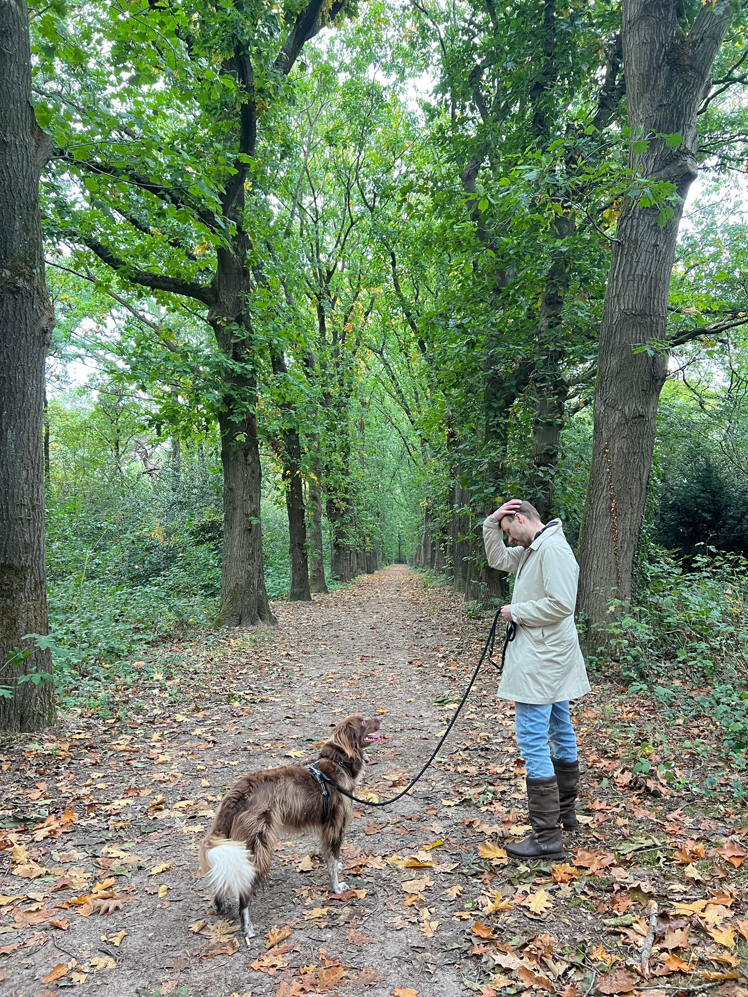 Raoul, dierenoppas in Naarden, foto 3