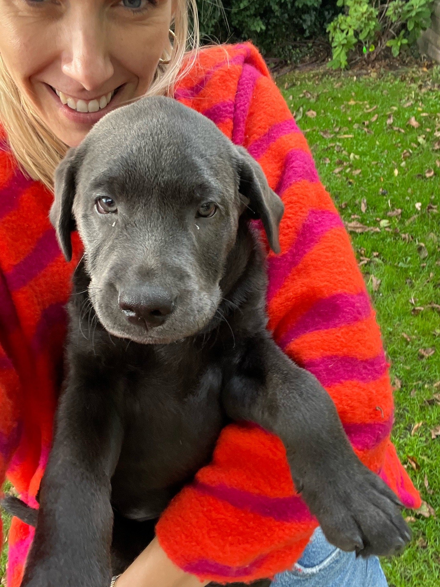 Chantalle, pet sitter in Amsterdam, photo 4