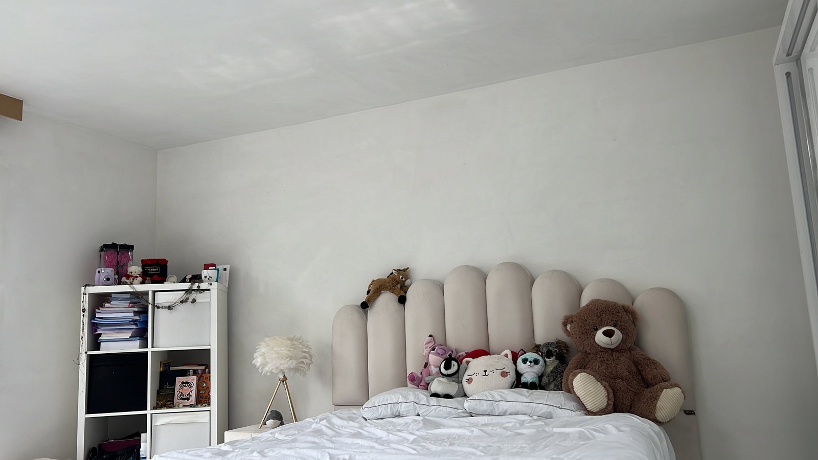 Gülistan, pet sitter in Zele, photo 2