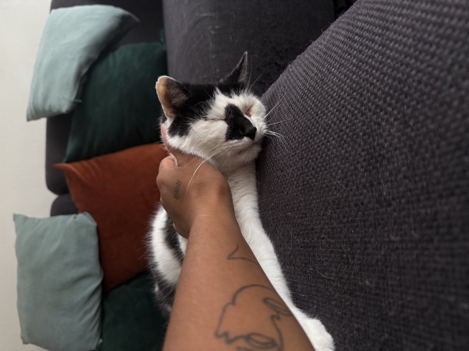 Zoë, pet sitter in Arnhem, photo 3
