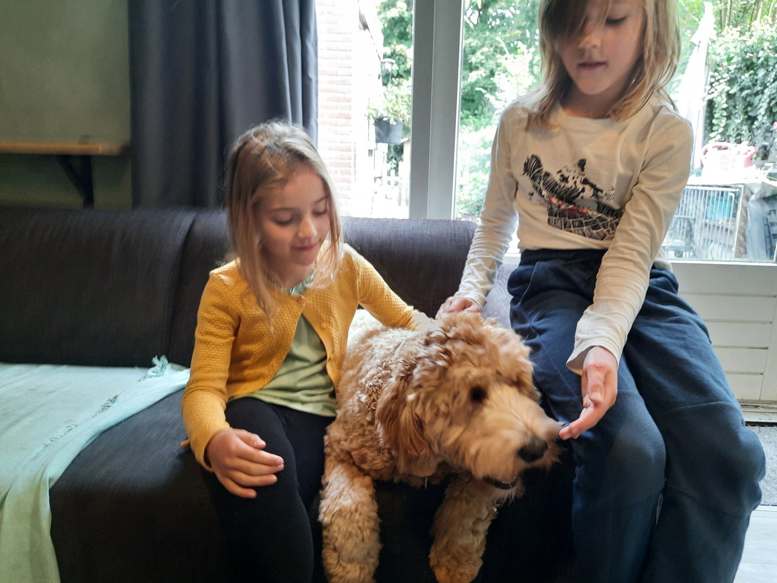 Elske, dierenoppas in Eibergen, foto 2