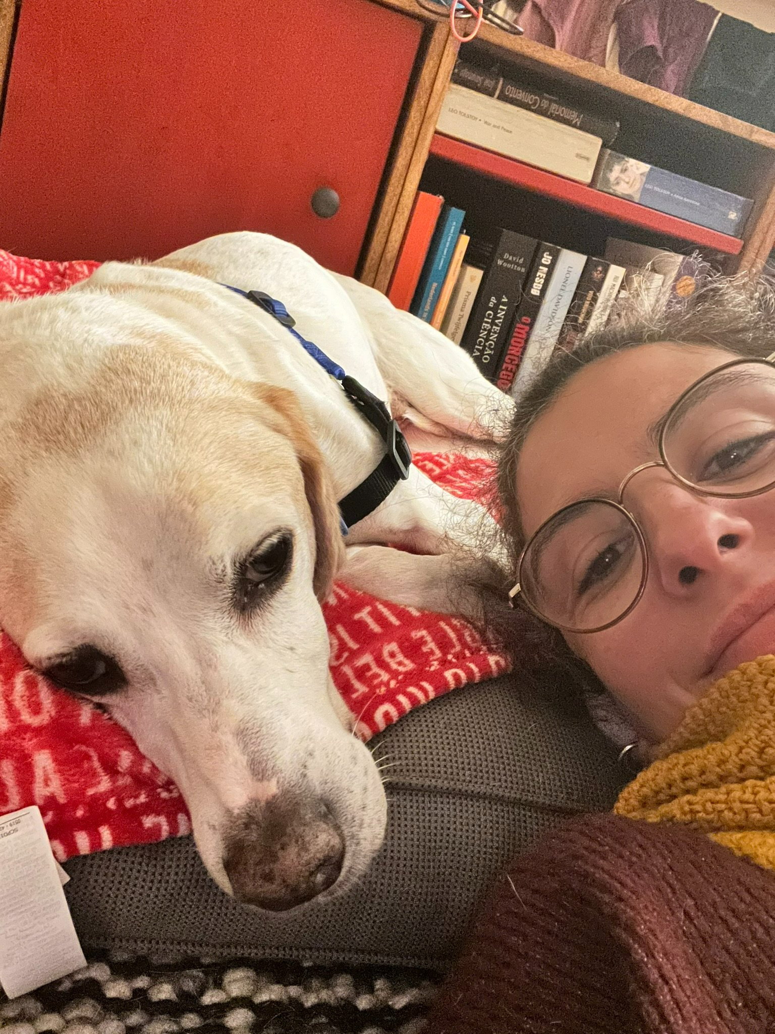 Pedro and Gi, pet sitter in Amsterdam, photo 2
