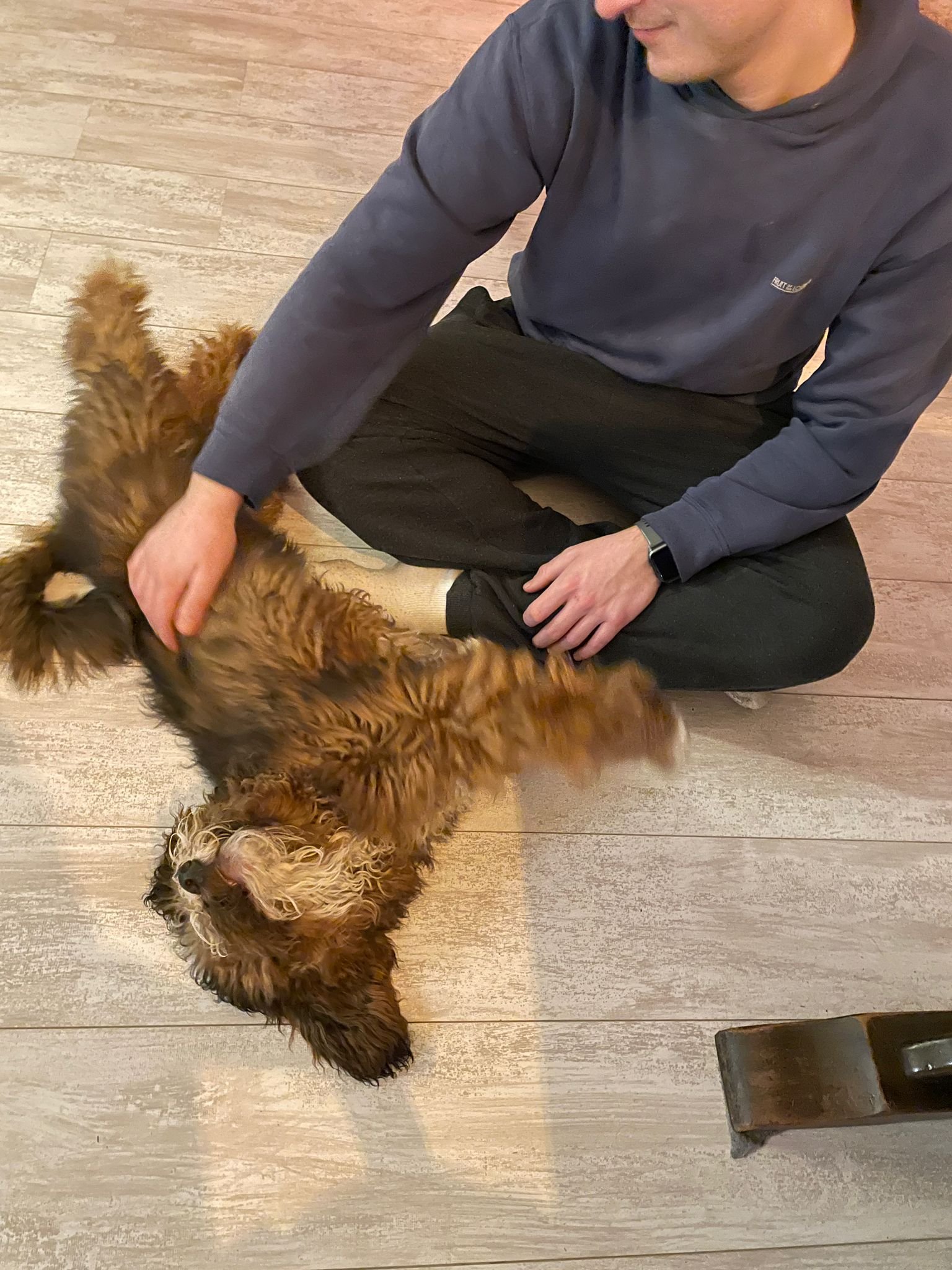 Fabio, pet sitter in 's-Hertogenbosch, photo 3