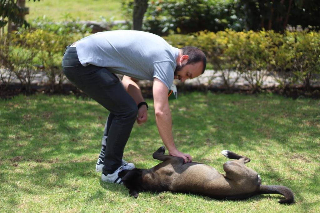 Juan David, pet sitter in Rotterdam, photo 2