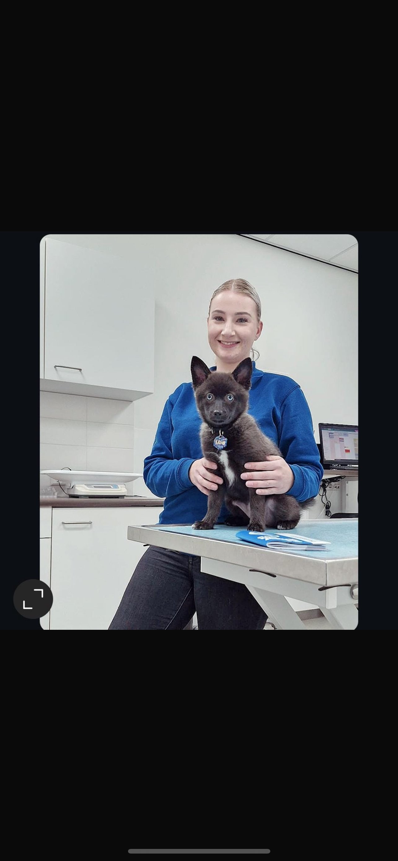 Melanie, pet sitter in Alkmaar, photo 3