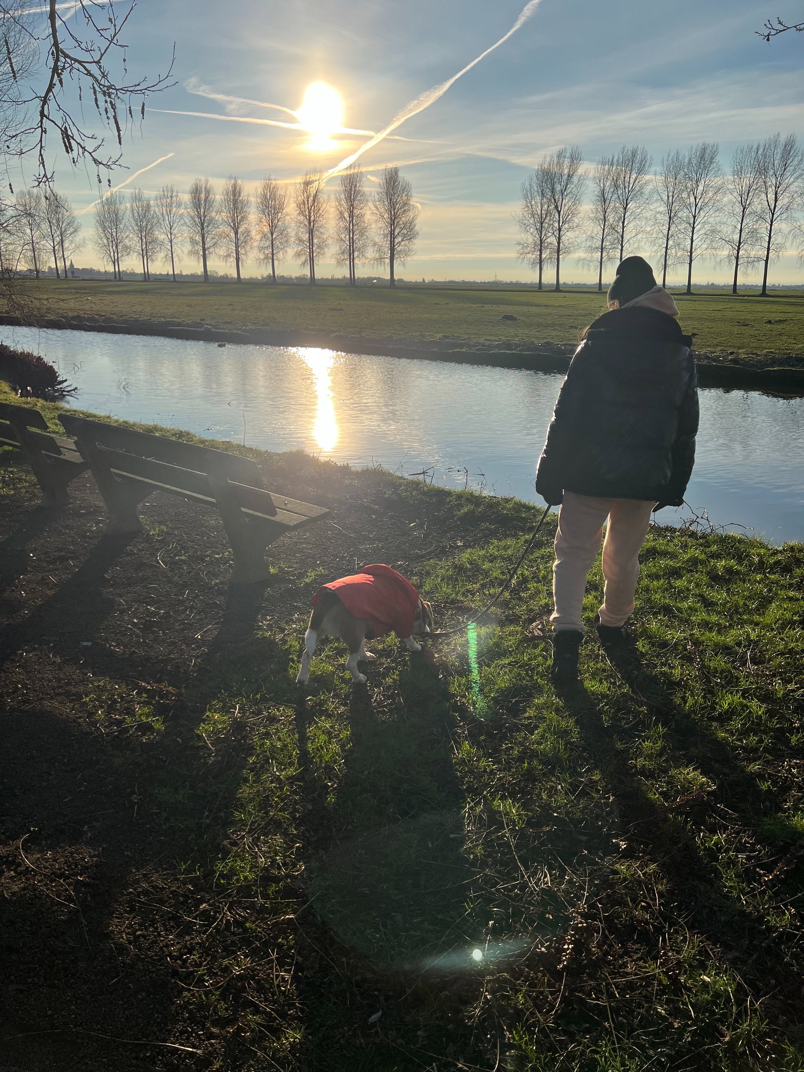 Sofia, pet sitter in Amstelveen, photo 3