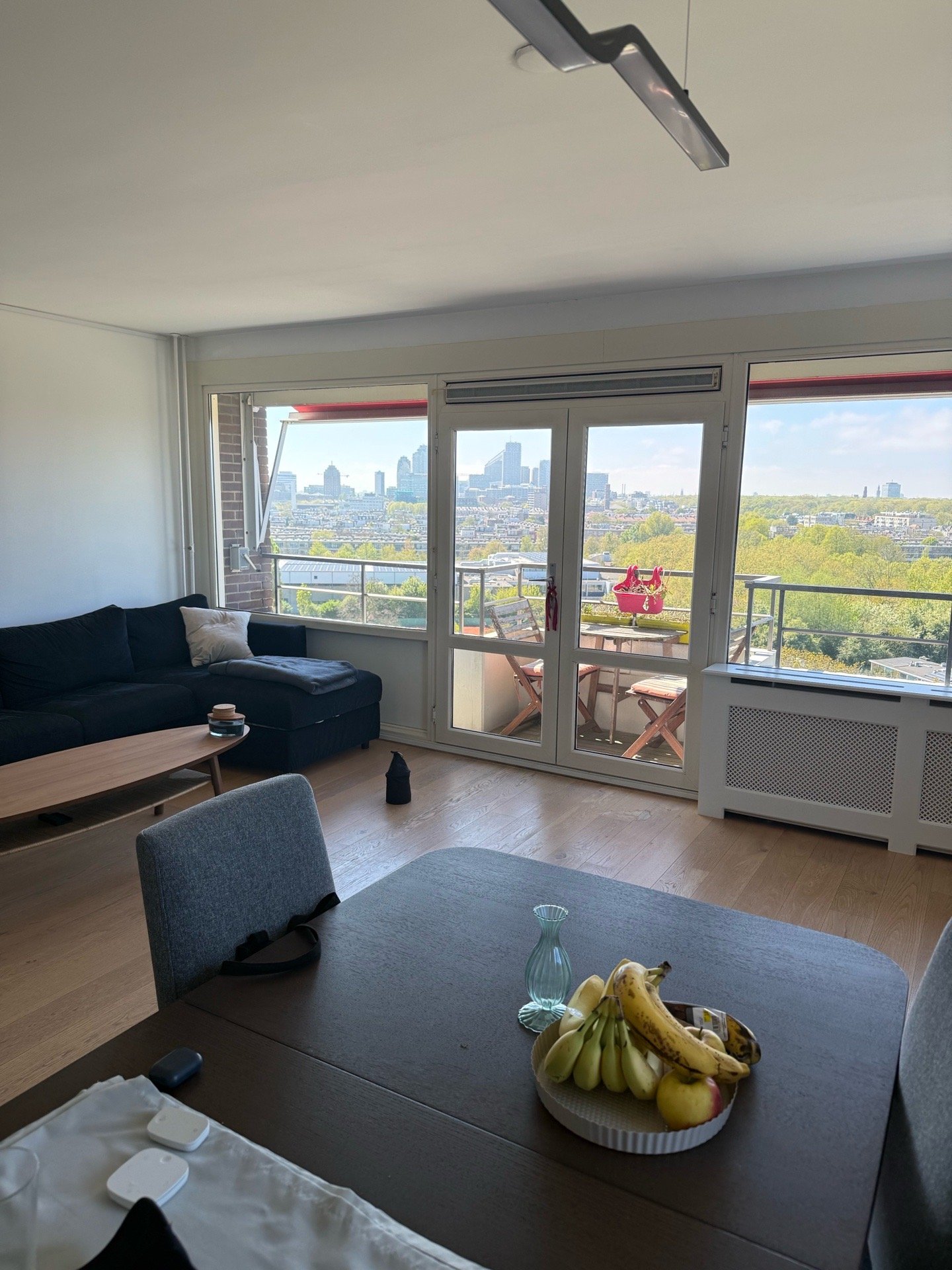 Lazaros, pet sitter in Den Haag, photo 2