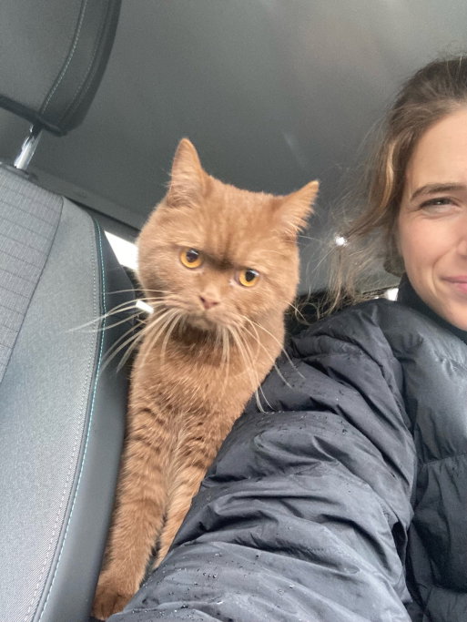 Evy, pet sitter in 's-Gravenhage, photo 3