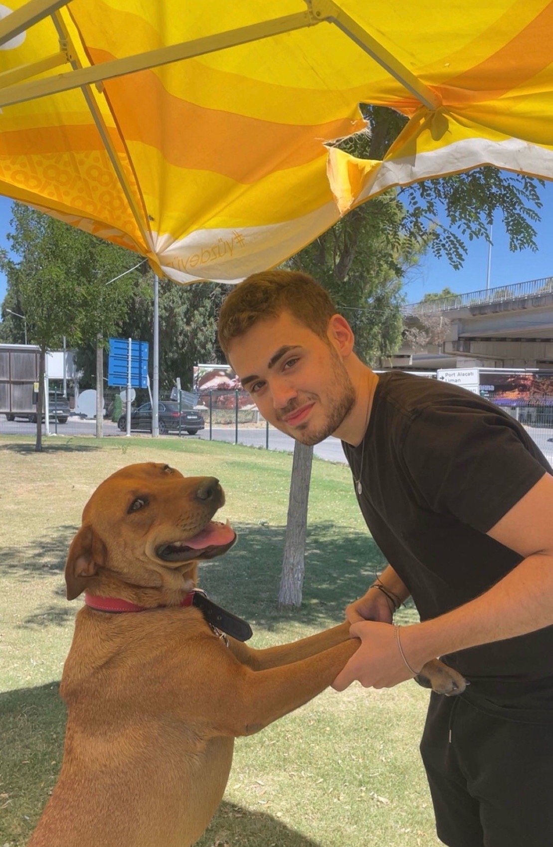 Eren, pet sitter in Amsterdam, photo 1