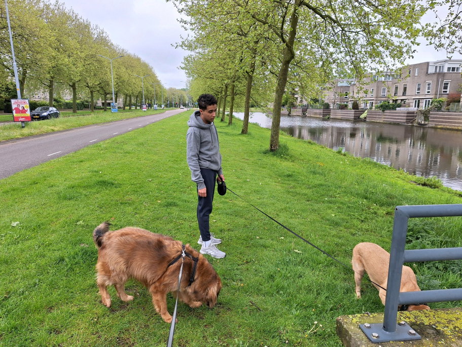 Suelane Maria, dierenoppas in Hoofddorp, foto 2