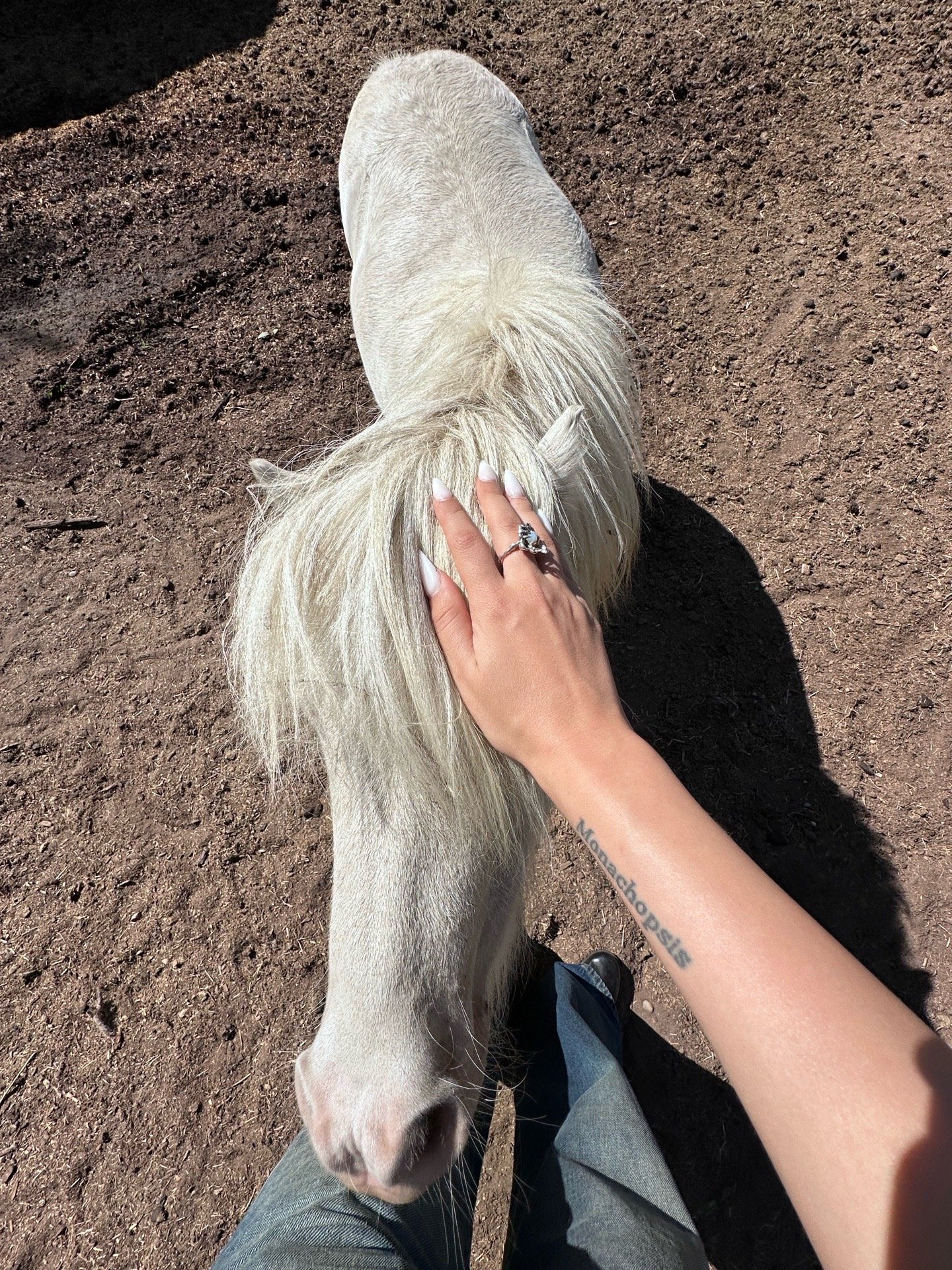 Rania, pet sitter in Almere, photo 5