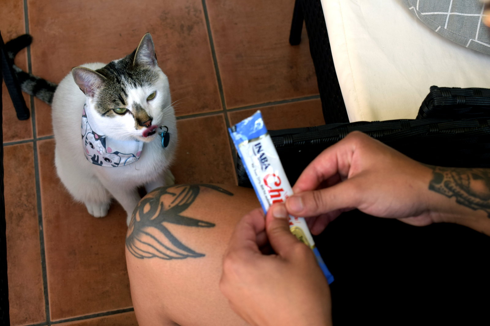 Clara, pet sitter in Berlin, photo 5