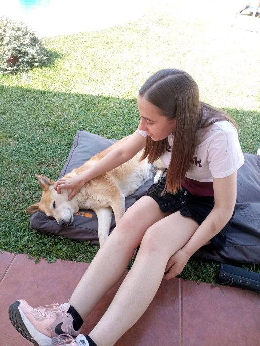 Angela, pet sitter in Zoetermeer, photo 5