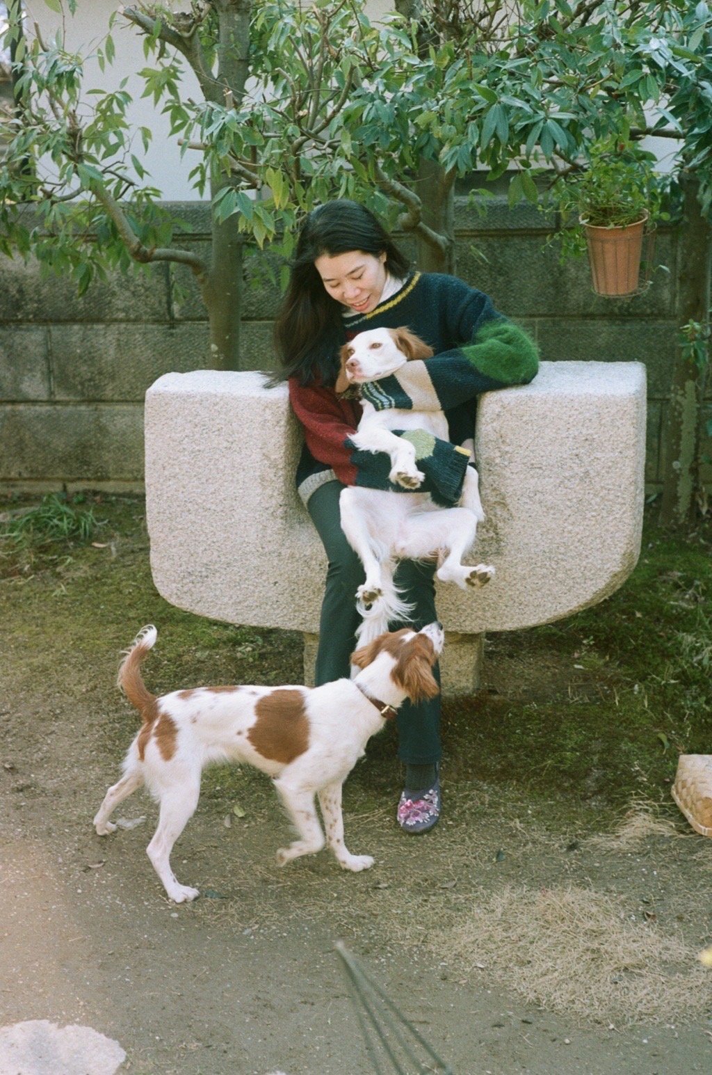 Seiko, pet sitter in Den Haag, photo 1