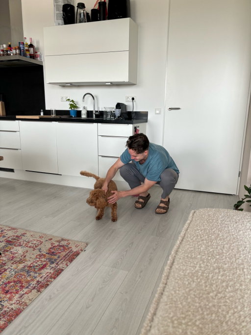 Robin, pet sitter in Eindhoven, photo 4