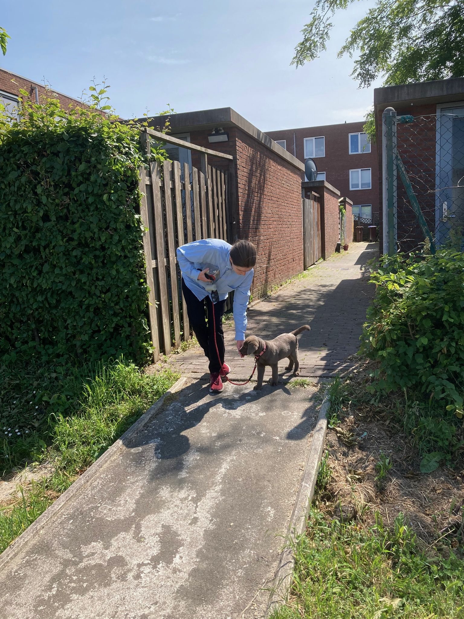 Mirjam, pet sitter in Utrecht, photo 2