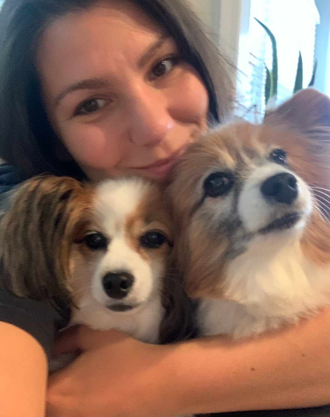 Lara, pet sitter in Amsterdam, photo 1