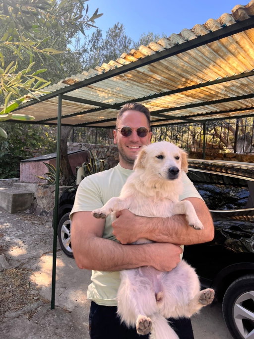 Omer, pet sitter in Voorburg, photo 2