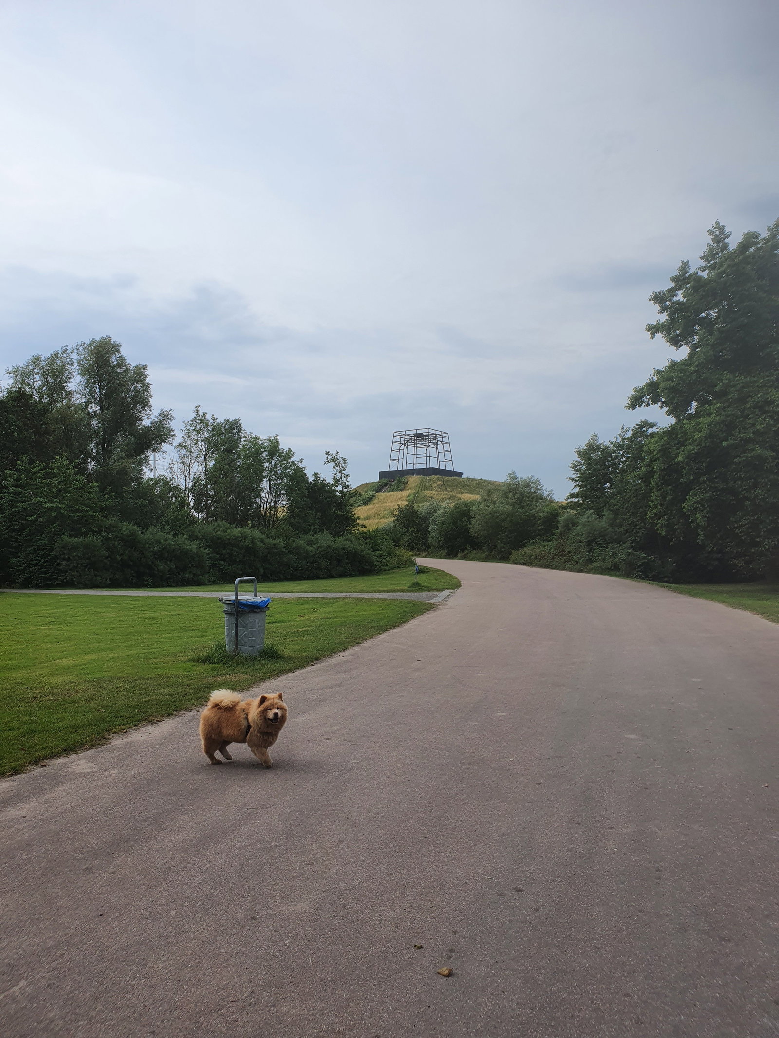 Sabine, pet sitter in Haarlem, photo 4