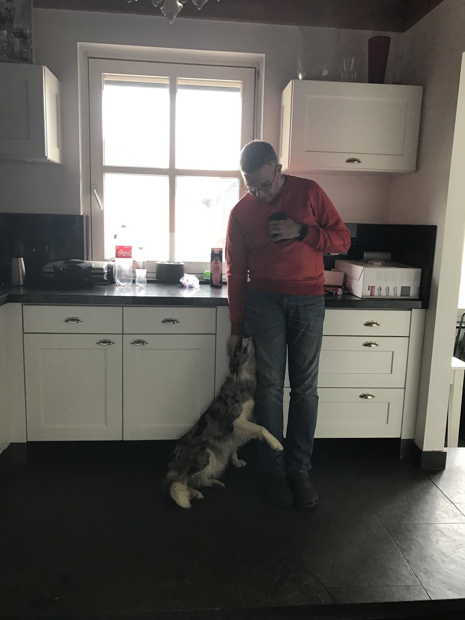 Ylona, dierenoppas in Geffen, foto 1