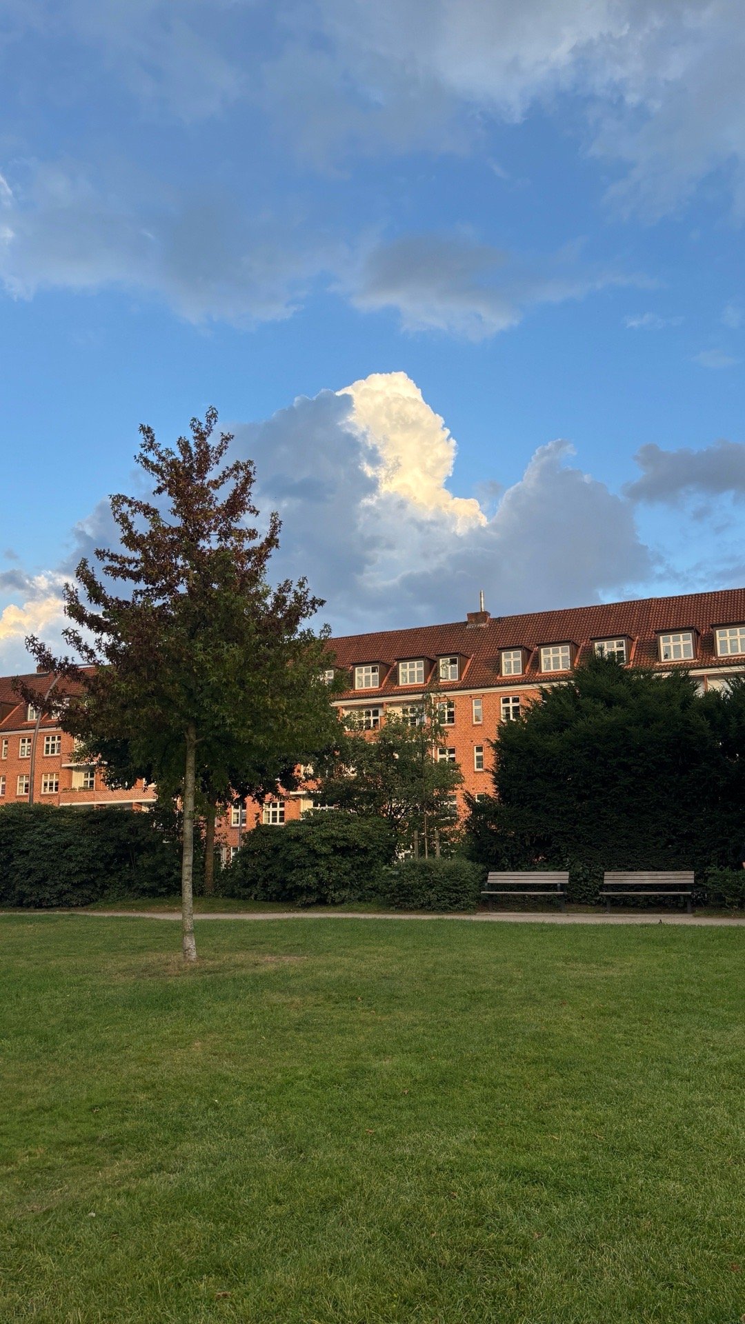 Swenna, Tiersitter in Hamburg, Foto 2