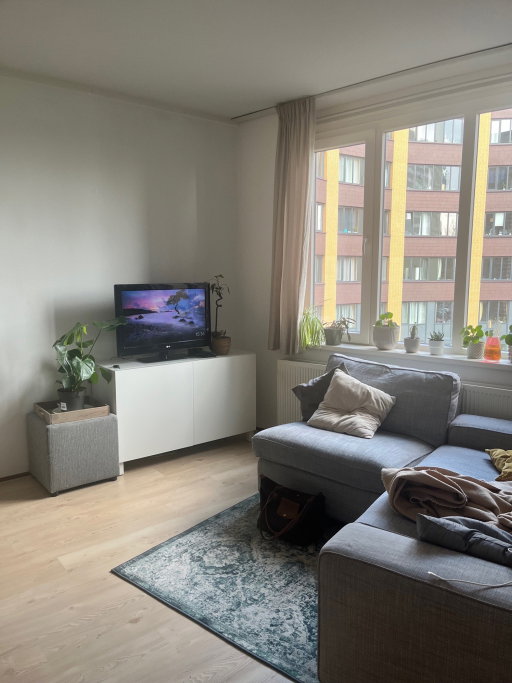 Lysanne en Bram, pet sitter in Nijmegen, photo 5