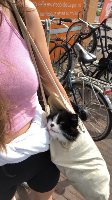Viktorija, dierenoppas in Amsterdam, foto 1