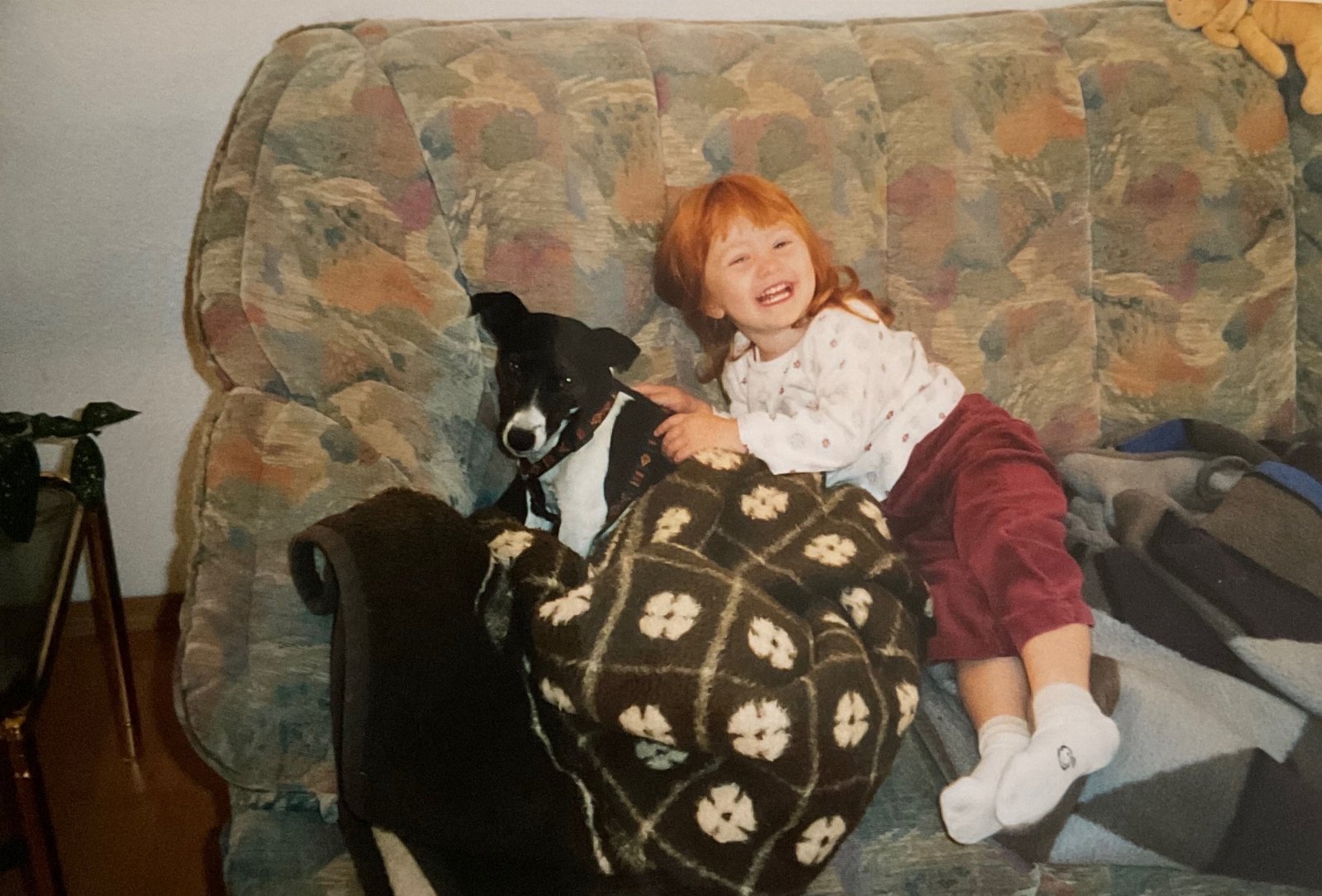 Nicole, pet sitter in Amsterdam, photo 4