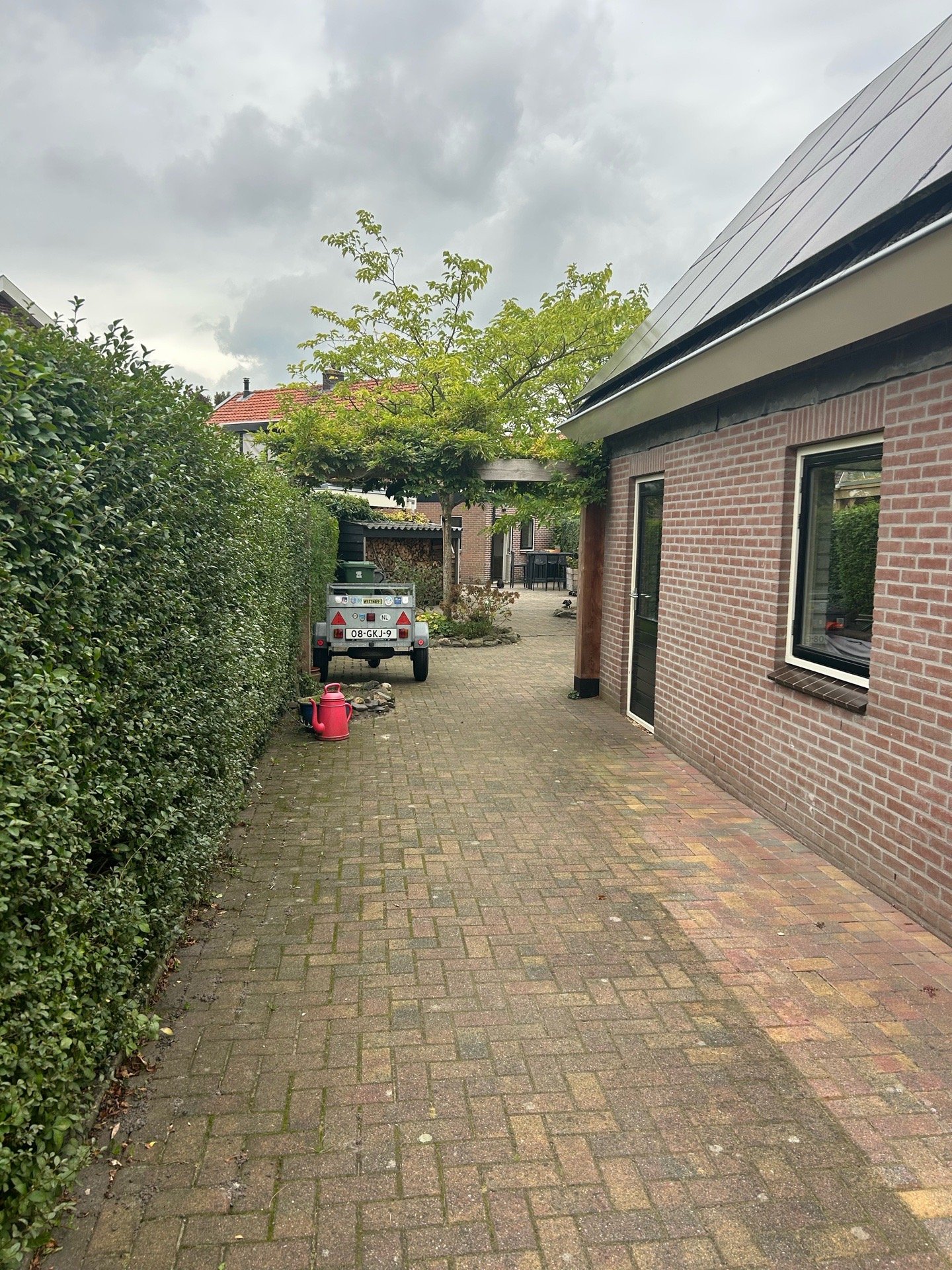 Jip, dierenoppas in Nijkerkerveen, foto 2