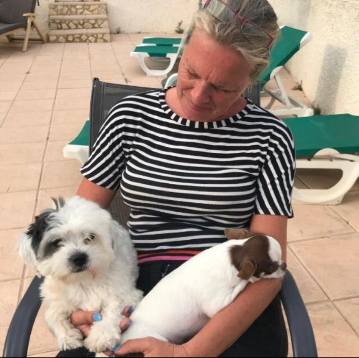 Irene, pet sitter in Terherne, photo 4